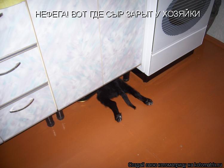 НЕФЕГА! ВОТ ГДЕ СЫР ЗАРЫТ У ХОЗЯЙКИ... Котоматрица: НЕФЕГА! ВОТ ГДЕ СЫР ЗАРЫТ У ХОЗЯЙКИ