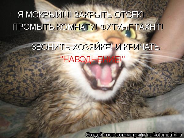 Я МОКРЫЙ!!!! ЗАКРЫТЬ ОТСЕК! ПРОМЫТЬ КОМНАТУ! ФХТУНГ ТАХНТ! ЗВОНИТЬ ХОЗЯЙКЕ! И КРИЧАТЬ "НАВОДНЕНИЕ!"... Котоматрица: Я МОКРЫЙ!!!! ЗАКРЫТЬ ОТСЕК! ПРОМЫТЬ КОМНАТУ! ФХТУНГ ТАХНТ! ЗВОНИТЬ ХОЗЯЙКЕ! И КРИЧАТЬ "НАВОДНЕНИЕ!"