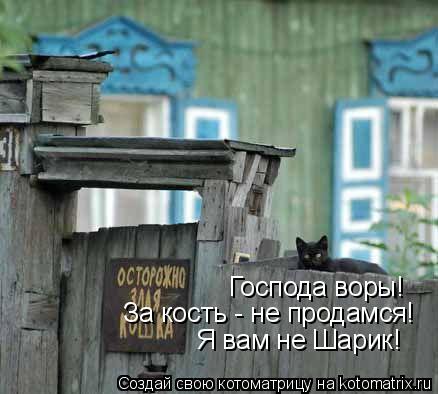 Котоматрица: Господа воры!  За кость - не продамся! Я вам не Шарик!