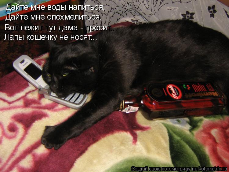 Котоматрица: Дайте мне воды напиться, Дайте мне опохмелиться. Вот лежит тут дама - просит... Лапы кошечку не носят...