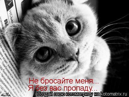 Не бросайте меня... Я без вас пропаду...... Котоматрица: Не бросайте меня... Я без вас пропаду...
