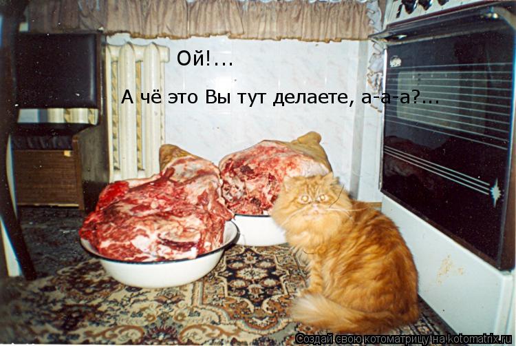Ой!... А чё это Вы тут делаете, а-а-а?...... Котоматрица: Ой!... А чё это Вы тут делаете, а-а-а?...