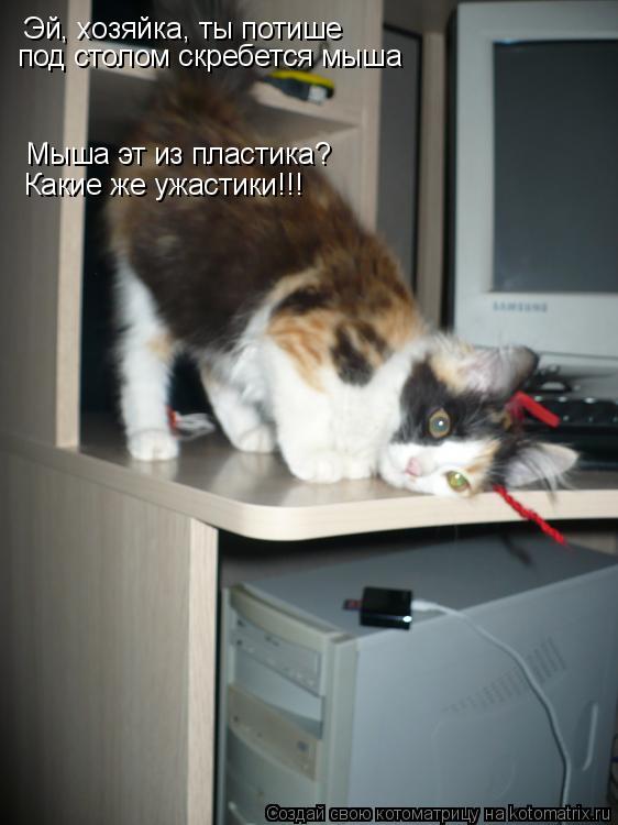 Эй, хозяйка, ты потише под столом скребется мыша Мыша эт из пластика? Какие же ужастики!!!... Котоматрица: Эй, хозяйка, ты потише под столом скребется мыша Мыша эт из пластика? Какие же ужастики!!!