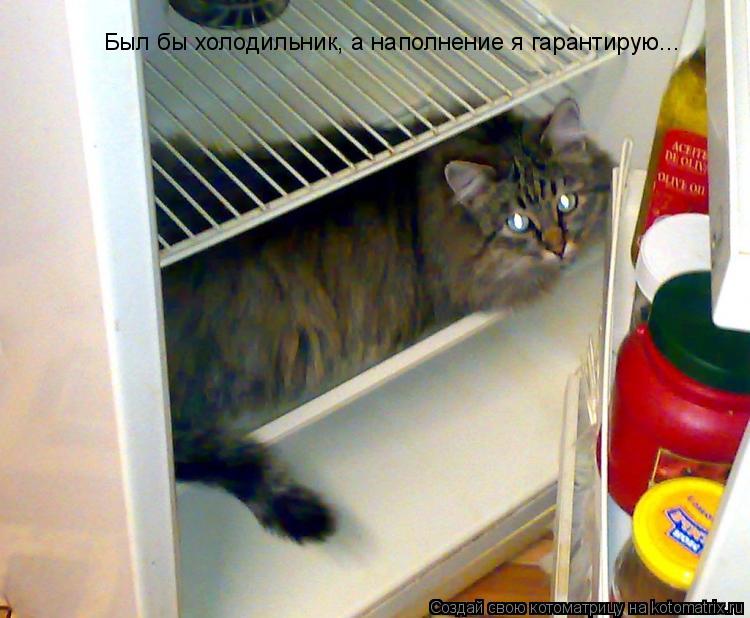 Был бы холодильник, а наполнение я гарантирую...... Котоматрица: Был бы холодильник, а наполнение я гарантирую...
