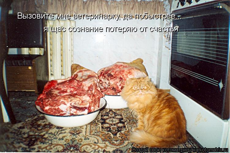 Вызовите мне ветеринарку, да побыстрее... я щас сознание потеряю от счастья... Котоматрица: Вызовите мне ветеринарку, да побыстрее... я щас сознание потеряю от счастья
