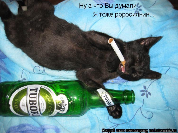 Ну а что Вы думали Я тоже ррросиянин...... Котоматрица: Ну а что Вы думали Я тоже ррросиянин...