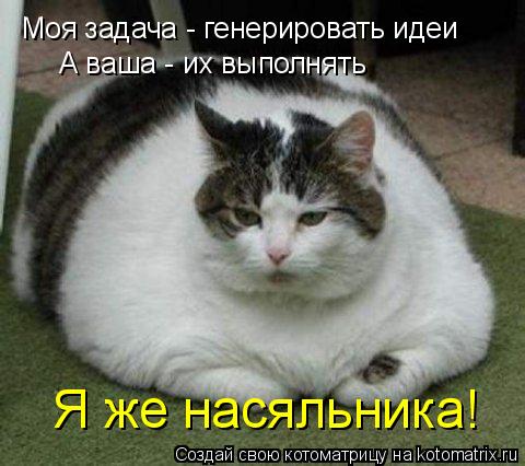 Моя задача - генерировать идеи А ваша - их выполнять Я же насяльника!... Котоматрица: Моя задача - генерировать идеи А ваша - их выполнять Я же насяльника!