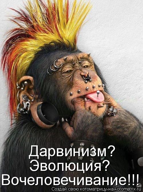 Дарвинизм? Эволюция? Вочеловечивание!!!... Котоматрица: Дарвинизм? Эволюция? Вочеловечивание!!!