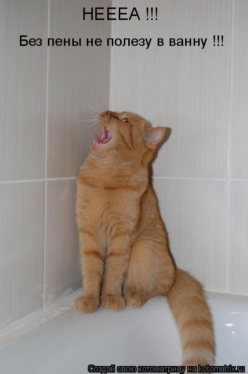Без пены не полезу в ванну !!! НЕЕЕА !!!... Котоматрица: Без пены не полезу в ванну !!! НЕЕЕА !!!