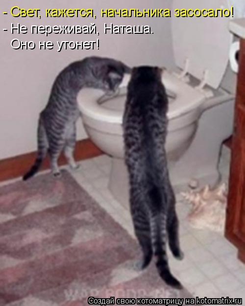 - Свет, кажется, начальника засосало! - Не переживай, Наташа. Оно не утонет!... Котоматрица: - Свет, кажется, начальника засосало! - Не переживай, Наташа. Оно не утонет!