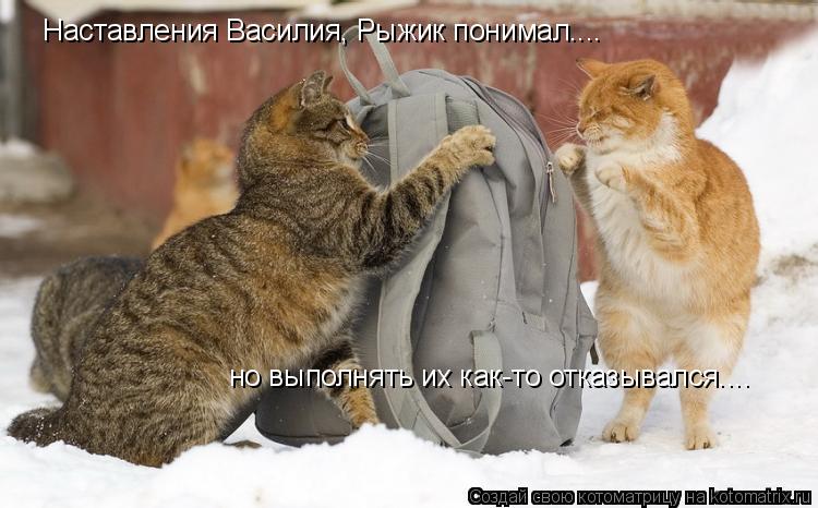 Наставления Василия, Рыжик понимал.... но выполнять их как-то отказывался....... Котоматрица: Наставления Василия, Рыжик понимал.... но выполнять их как-то отказывался....