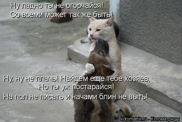 Ну ладно ты не огорчайся! Со всеми может так же быть! На пол не писать и начами блин не выть! Ну, ну ... Котоматрица: Ну ладно ты не огорчайся! Со всеми может так же быть! На пол не писать и начами блин не выть! Ну, ну не плачь! Найдем еще тебе хозяев, Но ты уж п