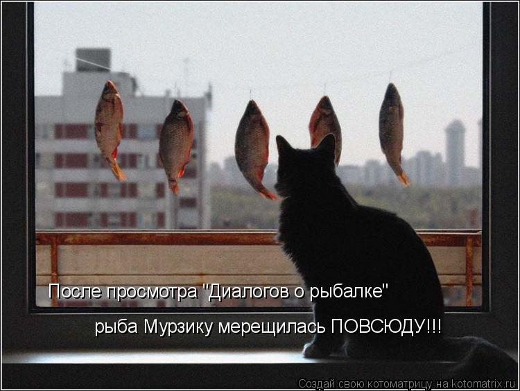 После просмотра "Диалогов о рыбалке" рыба Мурзику мерещилась ПОВСЮДУ!!!... Котоматрица: После просмотра "Диалогов о рыбалке" рыба Мурзику мерещилась ПОВСЮДУ!!!