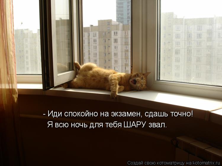 - Иди спокойно на экзамен, сдашь точно! Я всю ночь для тебя ШАРУ звал.... Котоматрица: - Иди спокойно на экзамен, сдашь точно! Я всю ночь для тебя ШАРУ звал.
