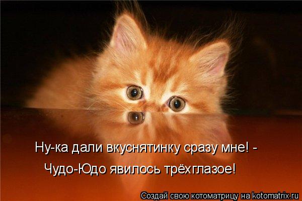 Котоматрица: Ну-ка дали вкуснятинку сразу мне! - Чудо-Юдо явилось трёхглазое!