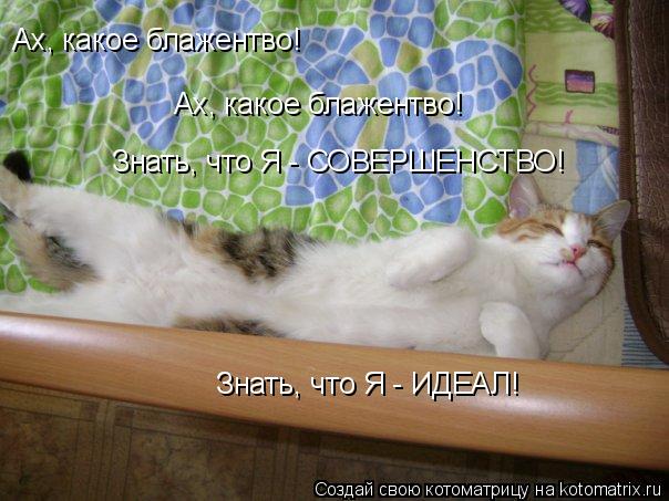 Ах, какое блажентво! Ах, какое блажентво! Знать, что Я - СОВЕРШЕНСТВО! Знать, что Я - ИДЕАЛ!... Котоматрица: Ах, какое блажентво! Ах, какое блажентво! Знать, что Я - СОВЕРШЕНСТВО! Знать, что Я - ИДЕАЛ!