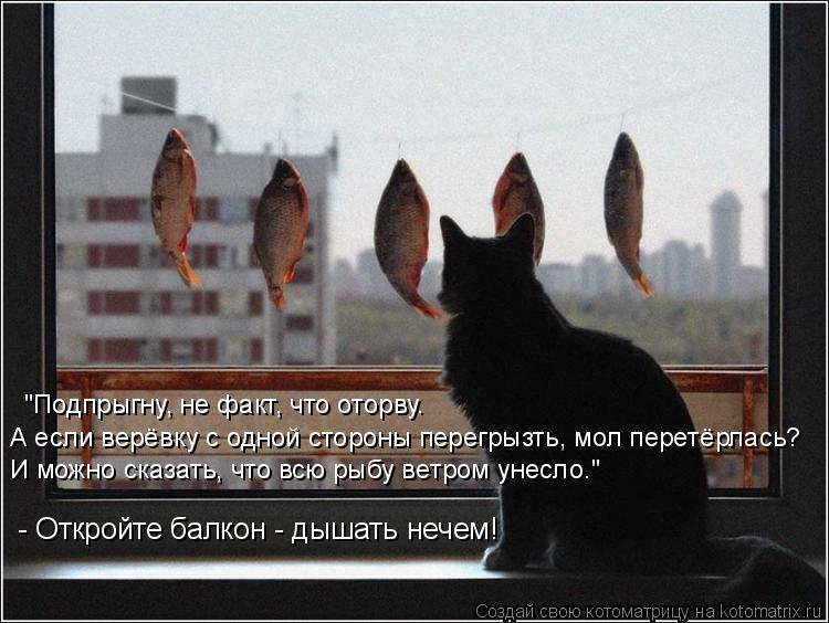 "Подпрыгну, не факт, что оторву. А если верёвку с одной стороны перегрызть, мол перетёрлась? И можно... Котоматрица: "Подпрыгну, не факт, что оторву. А если верёвку с одной стороны перегрызть, мол перетёрлась? И можно сказать, что всю рыбу ветром унесло." - От