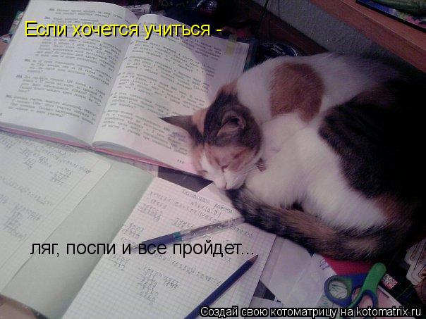 Если хочется учиться - ляг, поспи и все пройдет...... Котоматрица: Если хочется учиться - ляг, поспи и все пройдет...