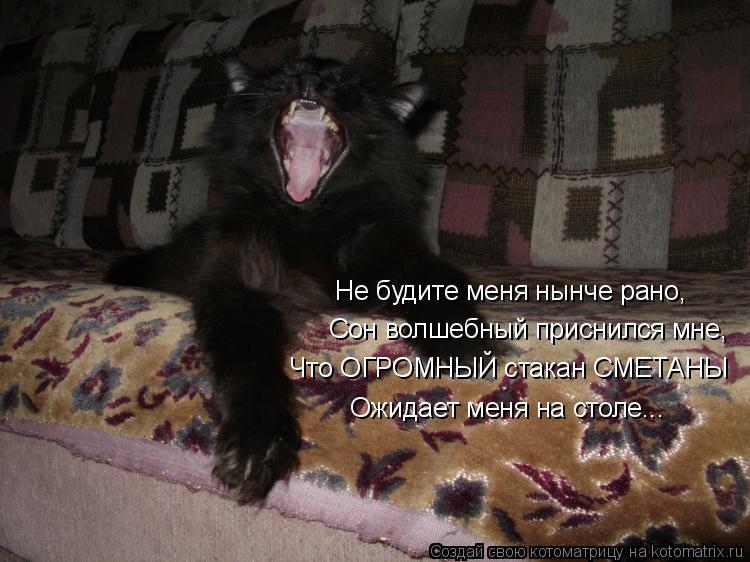 Не будите меня нынче рано, Сон волшебный приснился мне, Что ОГРОМНЫЙ стакан СМЕТАНЫ Ожидает меня на с... Котоматрица: Не будите меня нынче рано, Сон волшебный приснился мне, Что ОГРОМНЫЙ стакан СМЕТАНЫ Ожидает меня на столе...