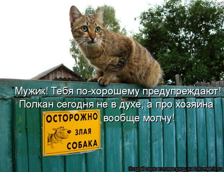 Котоматрица: Мужик! Тебя по-хорошему предупреждают! Полкан сегодня не в духе, а про хозяина вообще молчу!