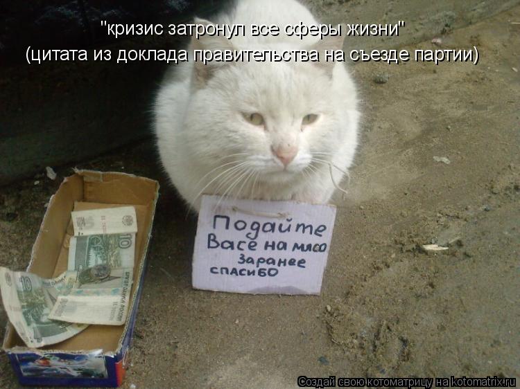 "кризис затронул все сферы жизни" (цитата из доклада правительства на съезде партии)... Котоматрица: "кризис затронул все сферы жизни" (цитата из доклада правительства на съезде партии)