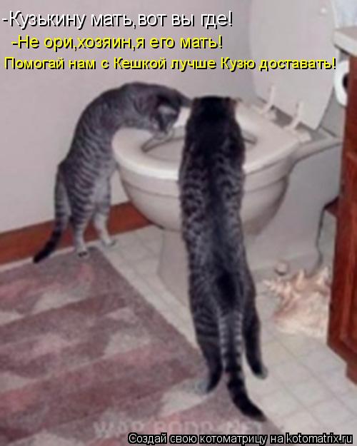 Кузькину мать,вот вы где! -Не ори,хозяин,я его мать! Помогай нам с Кешкой лучше Кузю доставать! -... Котоматрица: Кузькину мать,вот вы где! -Не ори,хозяин,я его мать! Помогай нам с Кешкой лучше Кузю доставать! -