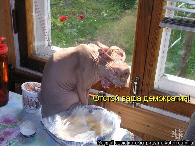 Отстой ваша демократия!... Котоматрица: Отстой ваша демократия!