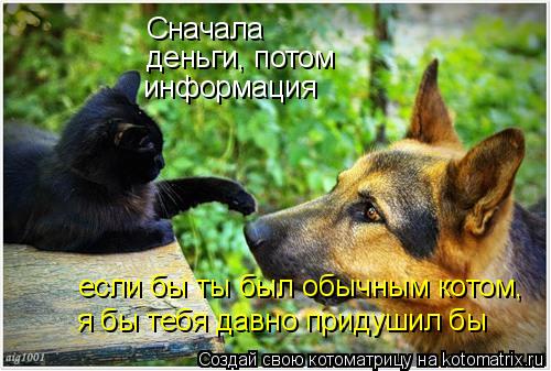 Сначала деньги, потом информация если бы ты был обычным котом, я бы тебя давно придушил бы... Котоматрица: Сначала деньги, потом информация если бы ты был обычным котом, я бы тебя давно придушил бы