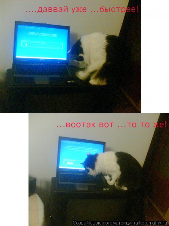 .... Котоматрица: .