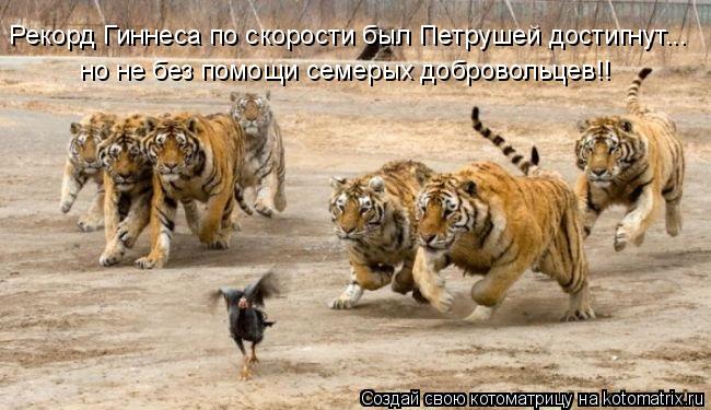 Рекорд Гиннеса по скорости был Петрушей достигнут... но не без помощи семерых добровольцев!!... Котоматрица: Рекорд Гиннеса по скорости был Петрушей достигнут... но не без помощи семерых добровольцев!!