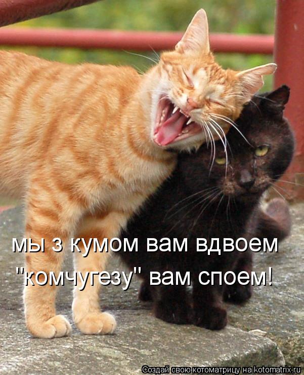 мы з кумом вам вдвоем "комчугезу" вам споем!... Котоматрица: мы з кумом вам вдвоем "комчугезу" вам споем!