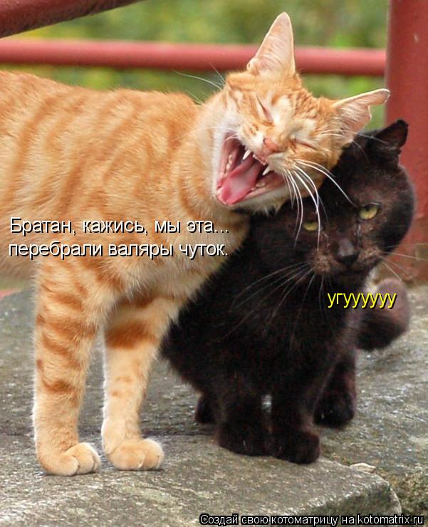 Братан, кажись, мы эта... перебрали валяры чуток. угуууууу... Котоматрица: Братан, кажись, мы эта... перебрали валяры чуток. угуууууу