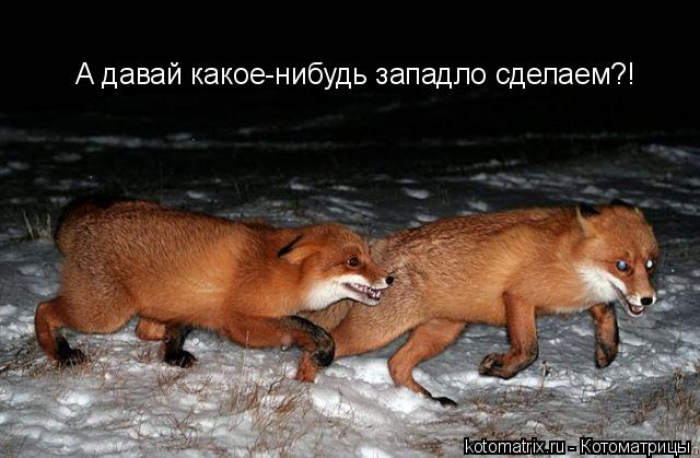 А давай какое-нибудь западло сделаем?!... Котоматрица: А давай какое-нибудь западло сделаем?!