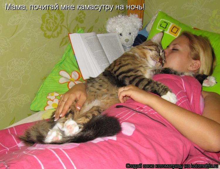 Мама, почитай мне камасутру на ночь!... Котоматрица: Мама, почитай мне камасутру на ночь!