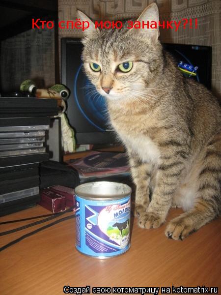 Кто спёр мою заначку?!!... Котоматрица: Кто спёр мою заначку?!!
