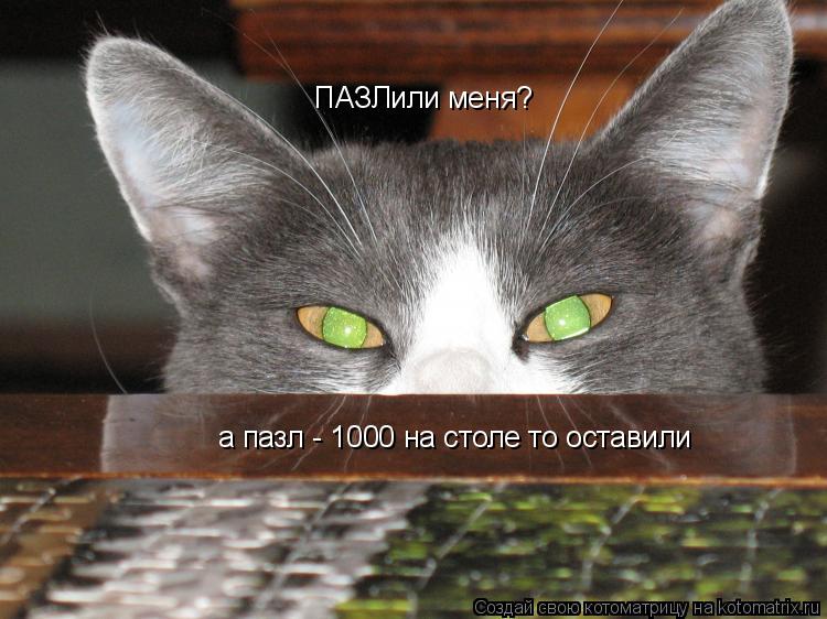 ПАЗЛили меня? а пазл - 1000 на столе то оставили... Котоматрица: ПАЗЛили меня? а пазл - 1000 на столе то оставили