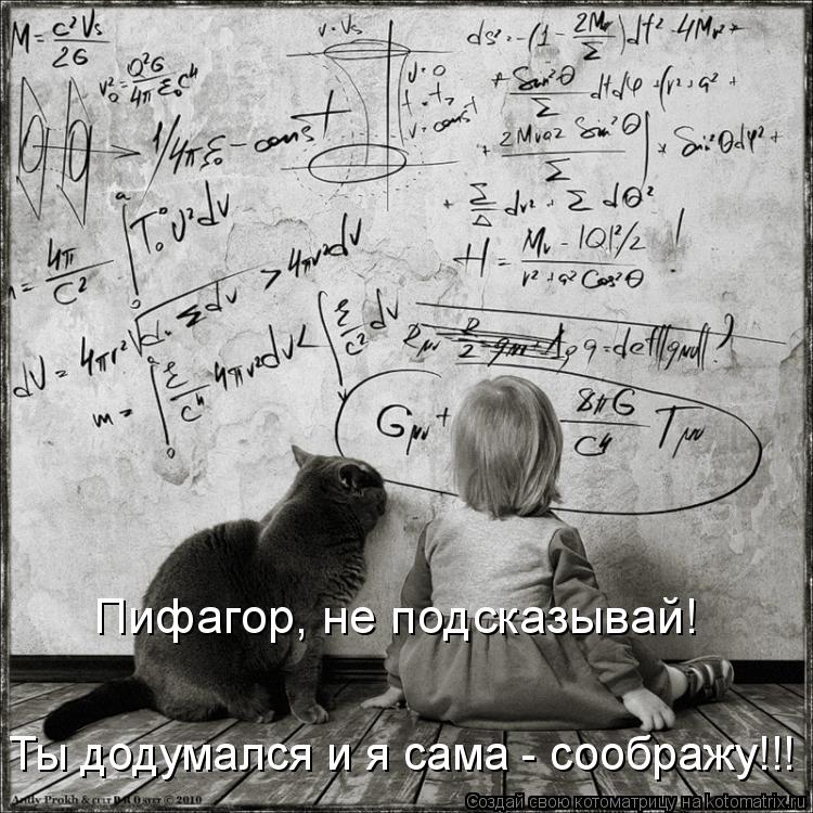 Пифагор, не подсказывай! Ты додумался и я сама - соображу!!!... Котоматрица: Пифагор, не подсказывай! Ты додумался и я сама - соображу!!!