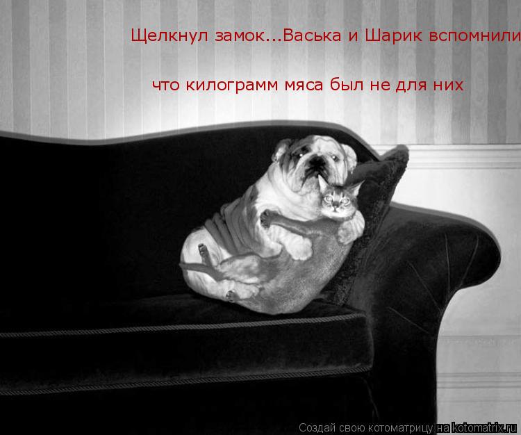 что килограмм мяса был не для них Щелкнул замок...Васька и Шарик вспомнили что килограмм мяса был не ... Котоматрица: что килограмм мяса был не для них Щелкнул замок...Васька и Шарик вспомнили что килограмм мяса был не для них