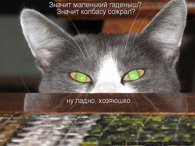 Котоматрица: Значит маленький гаденыш? Значит колбасу сожрал? ну ладно, хозяюшко...