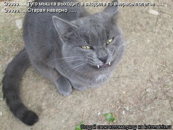 Котоматрица: Эээээ..... Туго мышка выходит, а входила то вчерась полегче .....  Эээээ..... Старая наверно .....