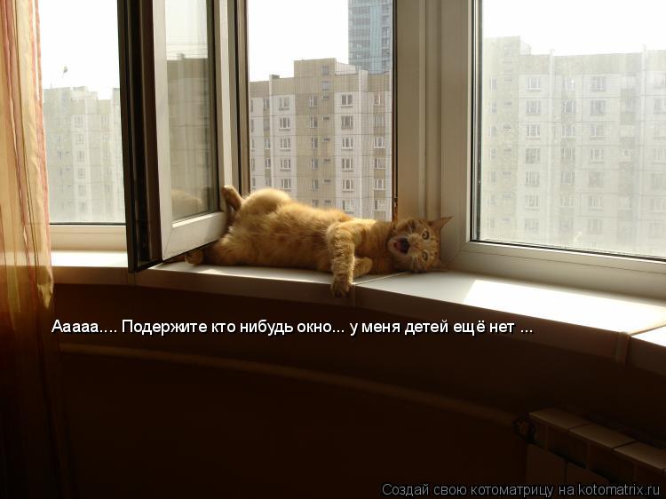 Ааааа.... Подержите кто нибудь окно... у меня детей ещё нет ...... Котоматрица: Ааааа.... Подержите кто нибудь окно... у меня детей ещё нет ...