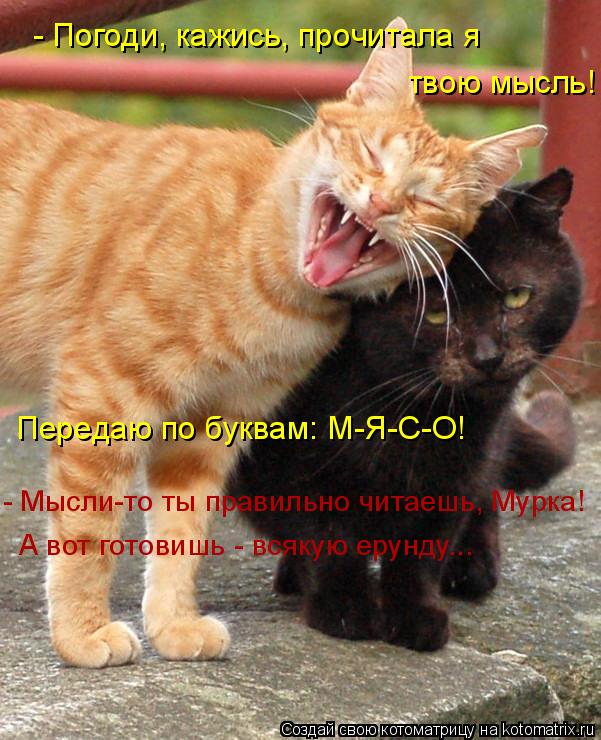 - Погоди, кажись, прочитала я твою мысль! Передаю по буквам: М-Я-С-О! - Мысли-то ты правильно читаеш... Котоматрица: - Погоди, кажись, прочитала я твою мысль! Передаю по буквам: М-Я-С-О! - Мысли-то ты правильно читаешь, Мурка! А вот готовишь - всякую ерунду...