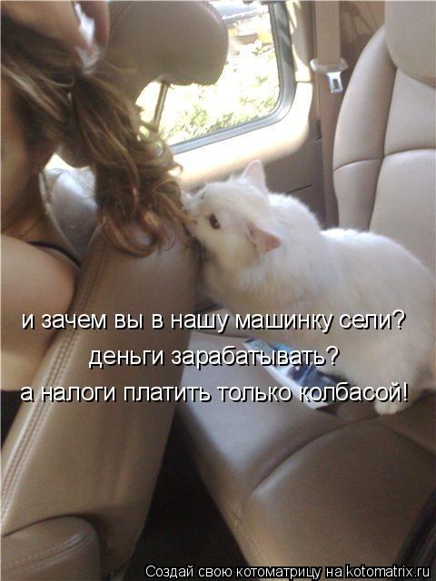 и зачем вы в нашу машинку сели? деньги зарабатывать? а налоги платить только колбасой!... Котоматрица: и зачем вы в нашу машинку сели? деньги зарабатывать? а налоги платить только колбасой!