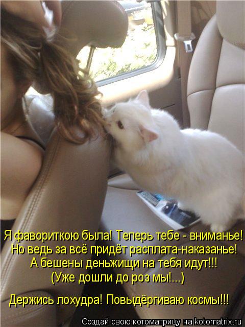 Я фавориткою была! Теперь тебе - вниманье! Но ведь за всё придёт расплата-наказанье! А бешены деньжищ... Котоматрица: Я фавориткою была! Теперь тебе - вниманье! Но ведь за всё придёт расплата-наказанье! А бешены деньжищи на тебя идут!!! (Уже дошли до роз мы!...) Д