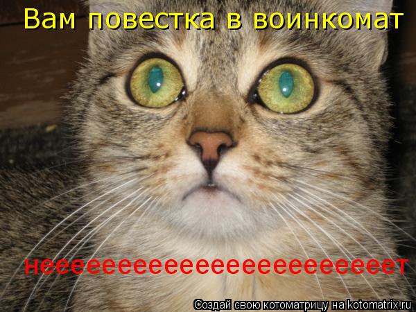 Вам повестка в воинкомат нееееееееееееееееееееееет... Котоматрица: Вам повестка в воинкомат нееееееееееееееееееееееет