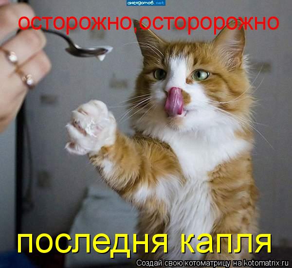 осторожно,осторорожно последня капля... Котоматрица: осторожно,осторорожно последня капля