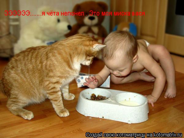 ЭЭЭЭЭЭ.......я чёта непонел . Это моя миска вася... Котоматрица: ЭЭЭЭЭЭ.......я чёта непонел . Это моя миска вася