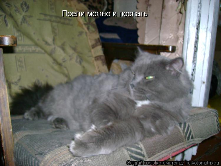 Поели можно и поспать Поели можно и поспать... Котоматрица: Поели можно и поспать Поели можно и поспать