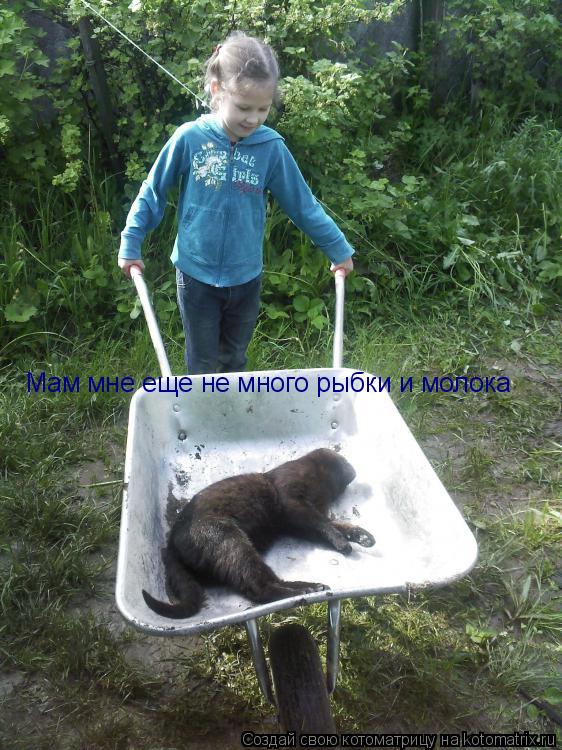 Мам мне еще не много рыбки и молока... Котоматрица: Мам мне еще не много рыбки и молока