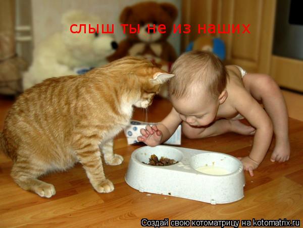слыш ты не из наших... Котоматрица: слыш ты не из наших